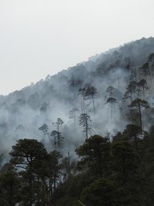 Early Wildfire Detection and Mitigation System that Leverages Natural Water Formations (FALCON)